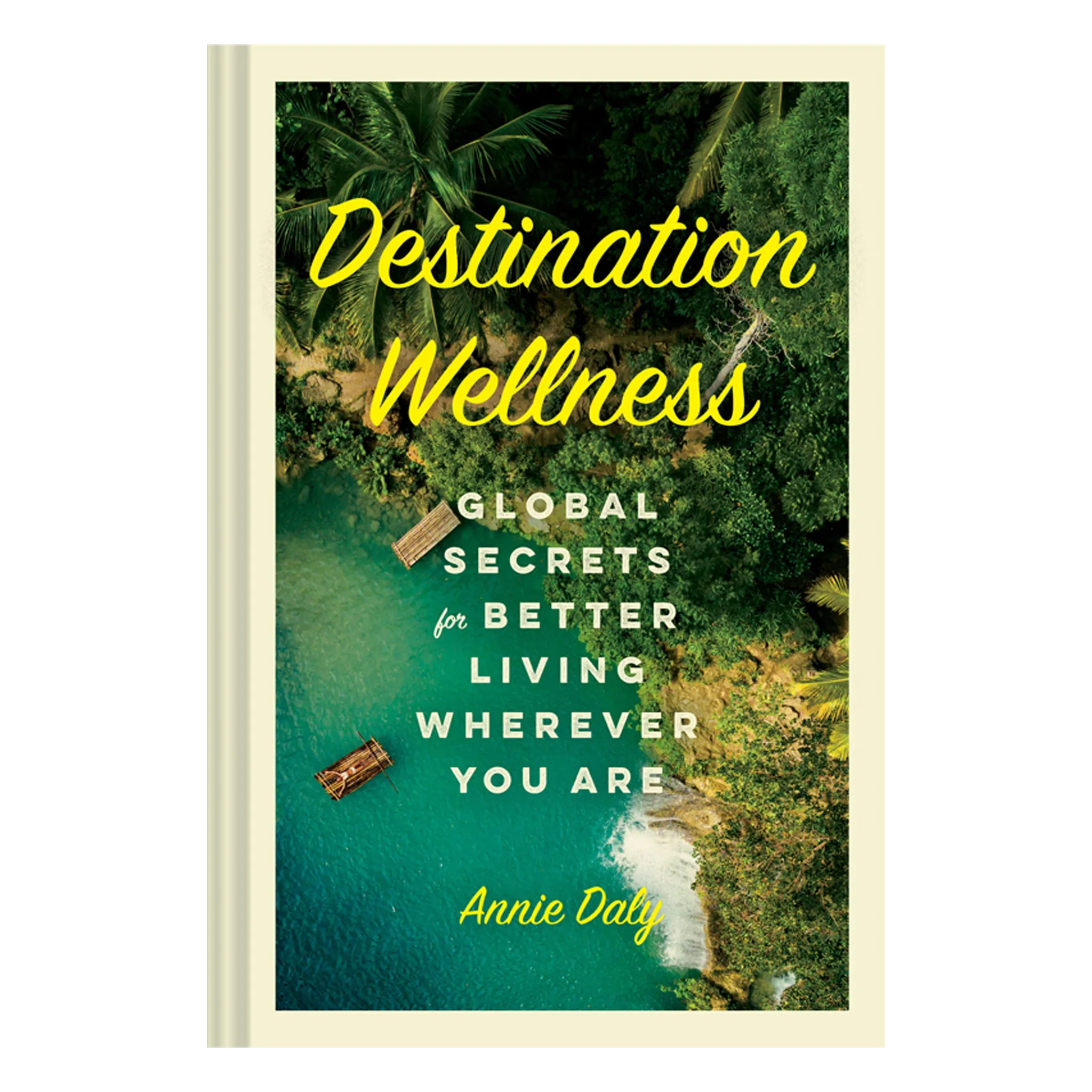 Destination Wellness - Book