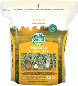 Oxbow Orchard Grass Hay