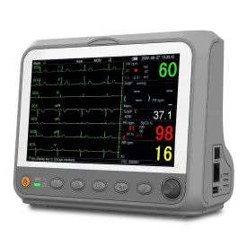 Portable Patient Monitor